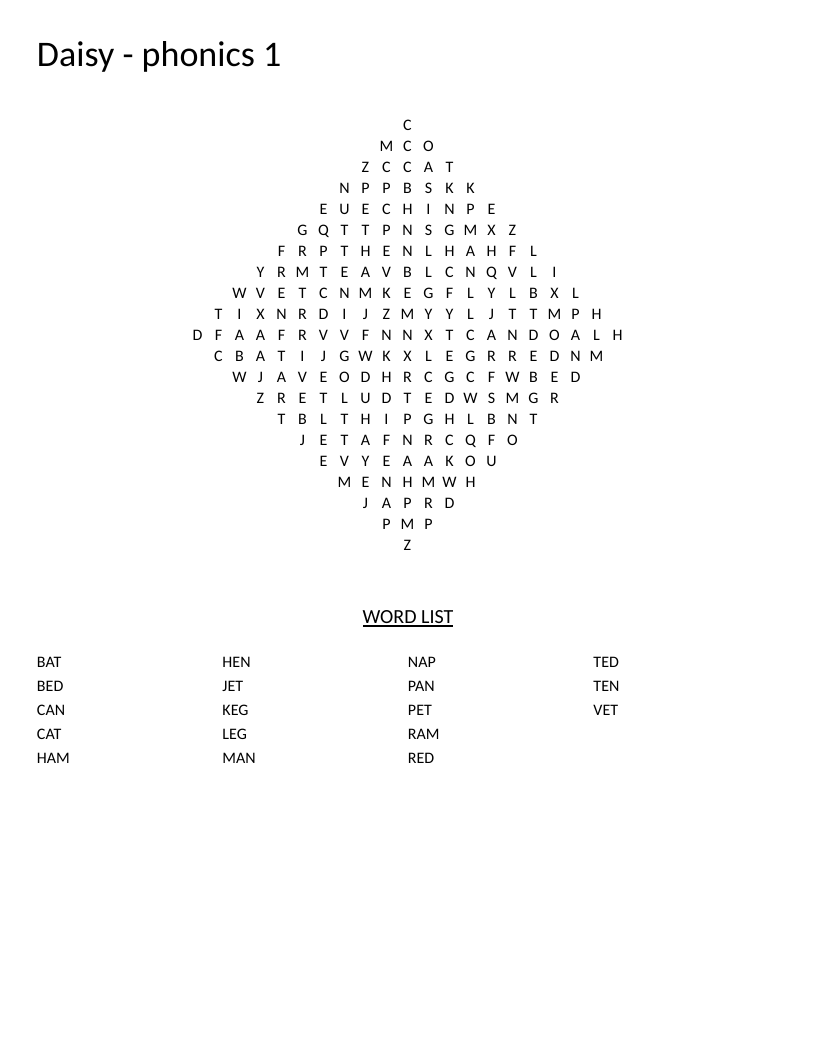 Diamond-shaped phonics word search with CVC words like cat, bed, and hen for early readers.
