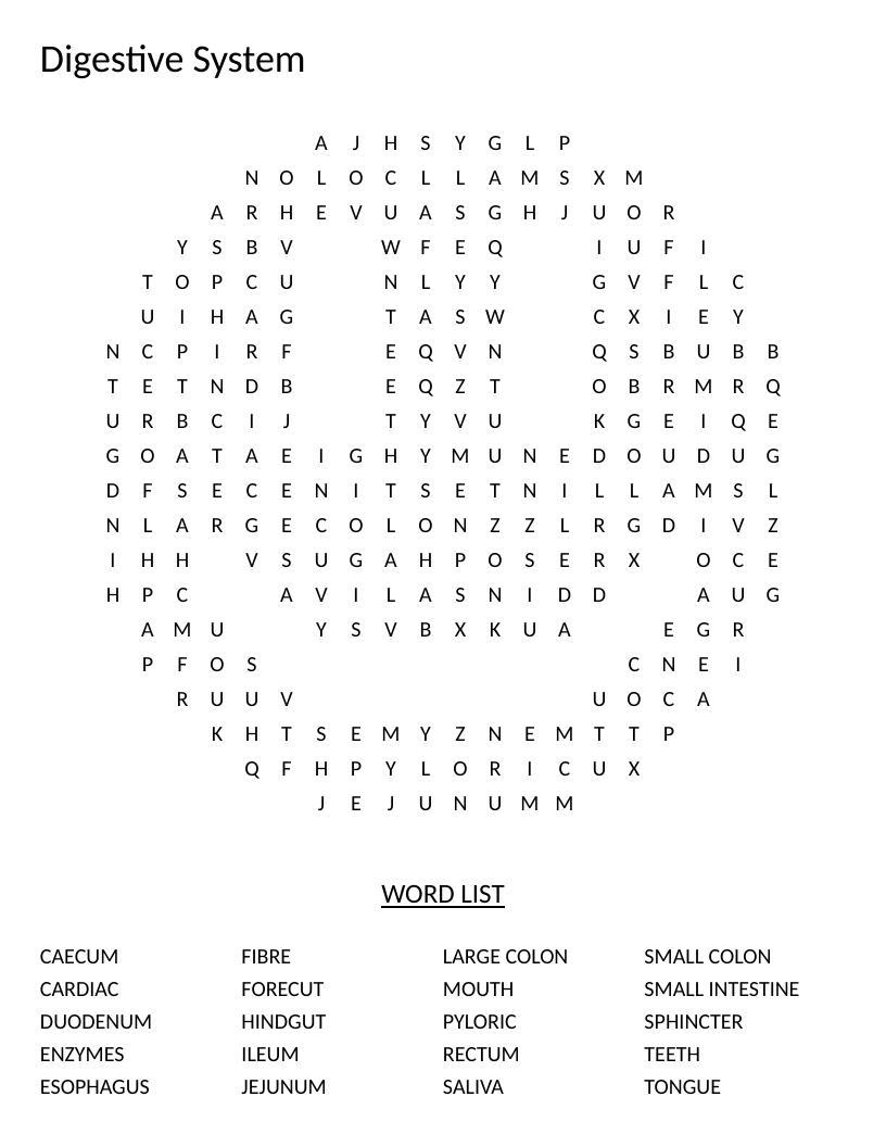 Smiley-shaped digestive system word search with anatomy vocabulary like esophagus and duodenum.