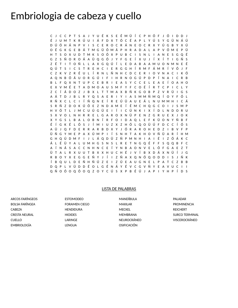 Spanish embryology word search with head and neck terms like neurocrá­neo and viscerocráneo.