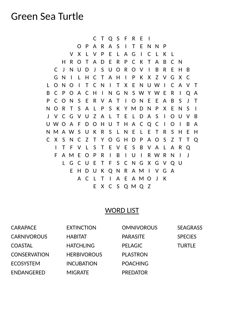 Circular green sea turtle word search with marine biology words like carapace and endangered.