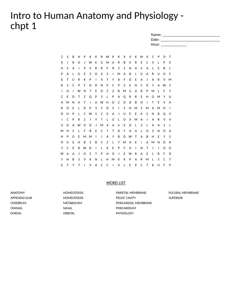 Anatomy and physiology word search with medical terms like pericardium, cerebrum, and homeostasis.