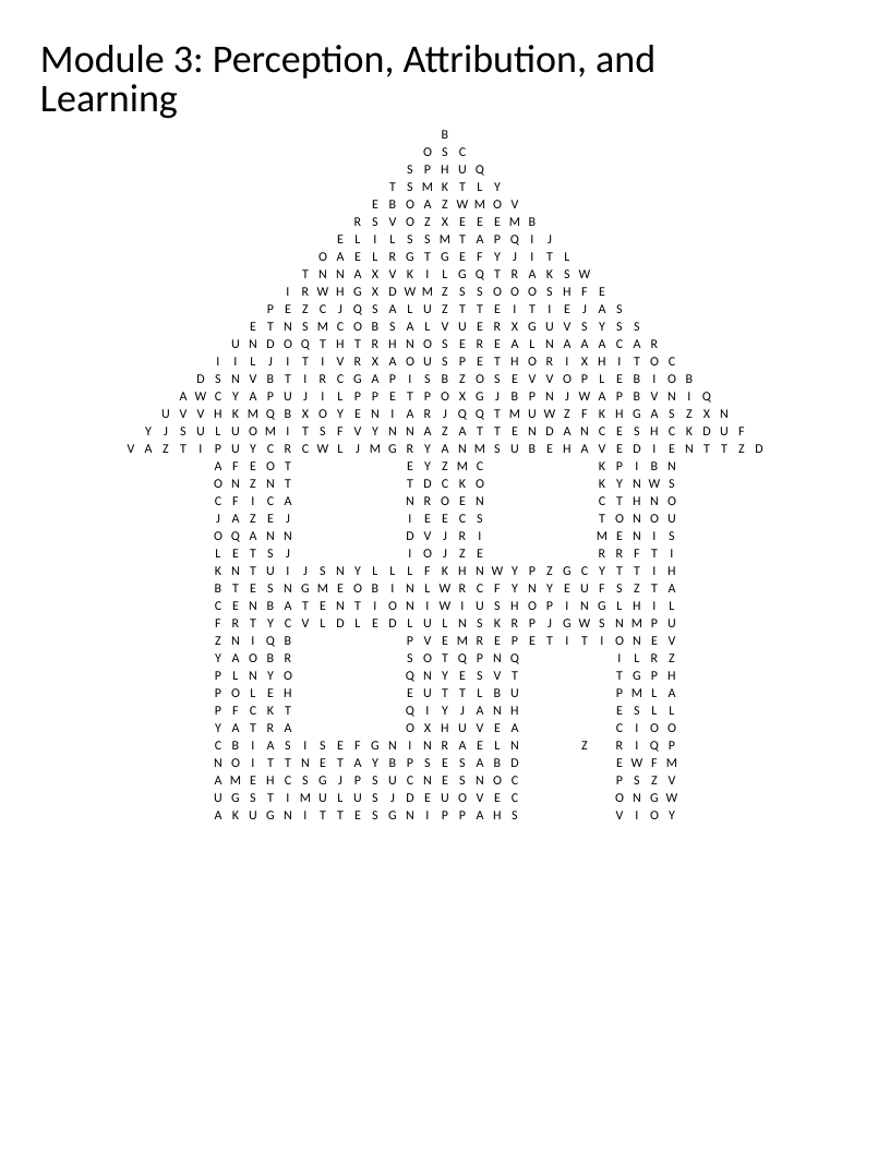 House-shaped psychology word search with terms like schema, halo effect, and stereotypes.