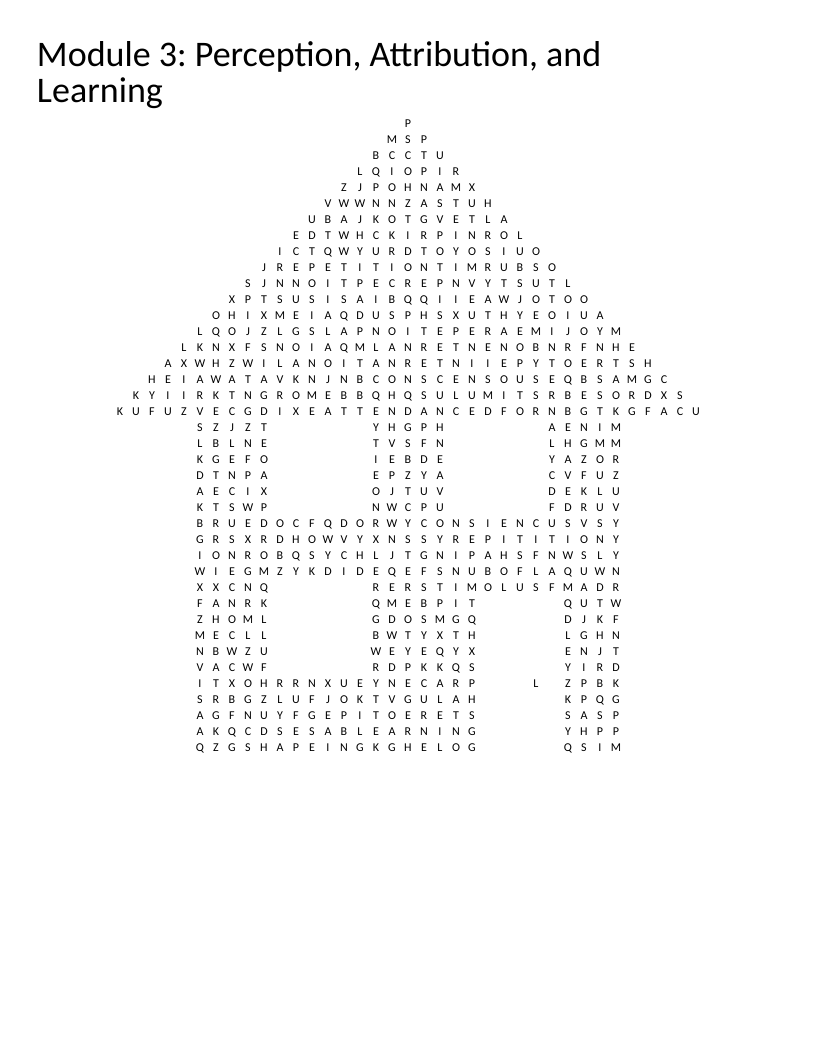 House-shaped psychology word search with terms like perception, stereotype, and attribution.