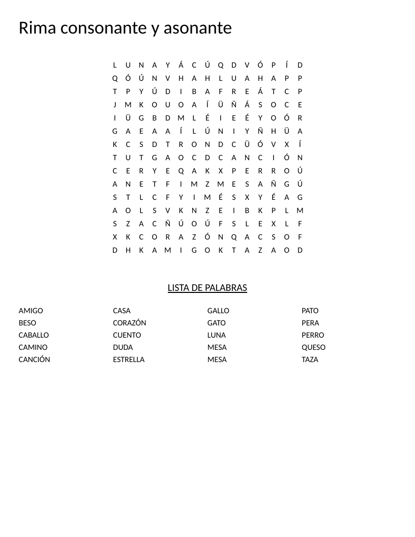 Spanish rhyming word search with words like casa, corazón, and gallo for consonant and assonant rhyme.