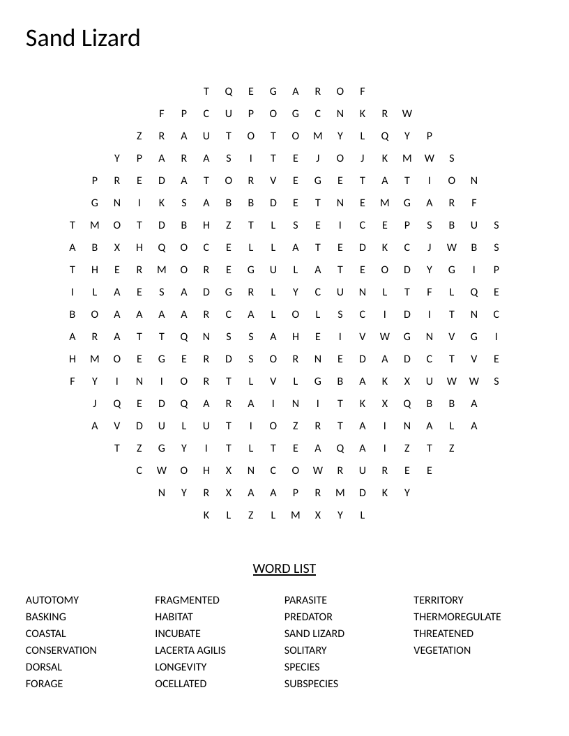 Circle-shaped sand lizard word search with terms including thermoregulate, conservation, and endangered.