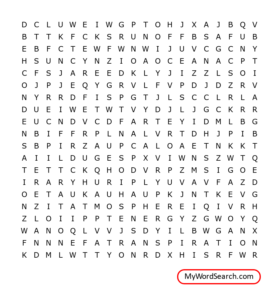 Water Cycle Vocabulary